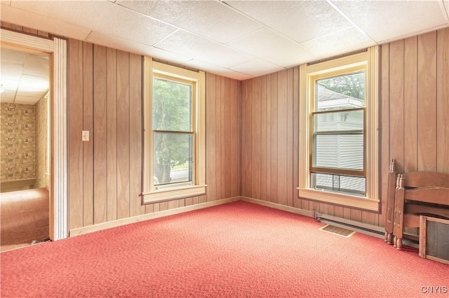 14309 Maple St, Diana, NY 13648 - empty room featuring carpet, healthy amount of natural light, and wooden walls