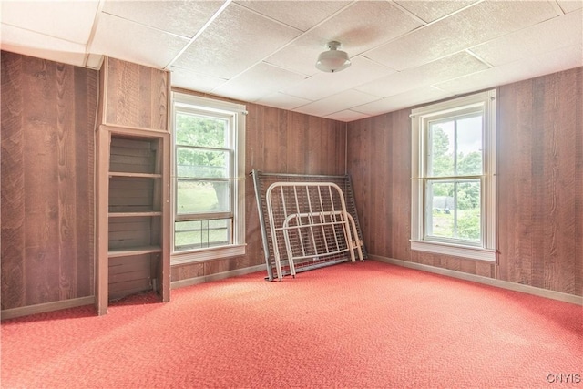 14309 Maple St, Diana, NY 13648 - unfurnished bedroom with wood walls, carpet, and multiple windows