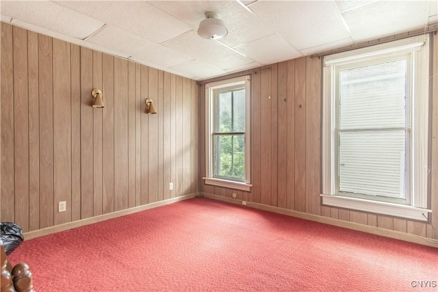 14309 Maple St, Diana, NY 13648 - unfurnished room featuring light carpet and wooden walls