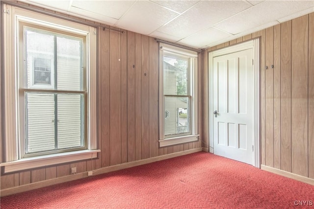 14309 Maple St, Diana, NY 13648 - empty room featuring wood walls and carpet floors