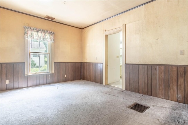 14309 Maple St, Diana, NY 13648 - carpeted empty room with a wainscoted wall and wood walls