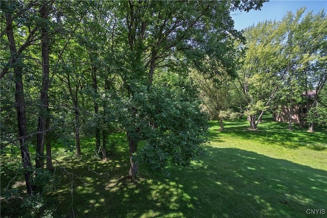 279 Watertree Dr, Dewitt, NY 13057 - view of undeveloped land