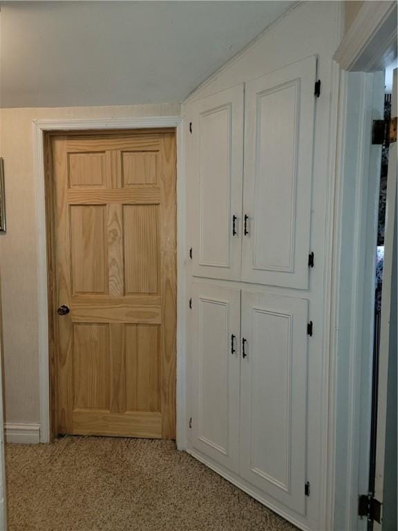 25 Francis Ave, Norwich, NY 13815 - detailed view of carpet flooring