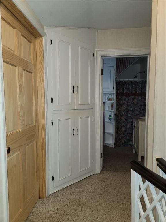 25 Francis Ave, Norwich, NY 13815 - hallway featuring carpet