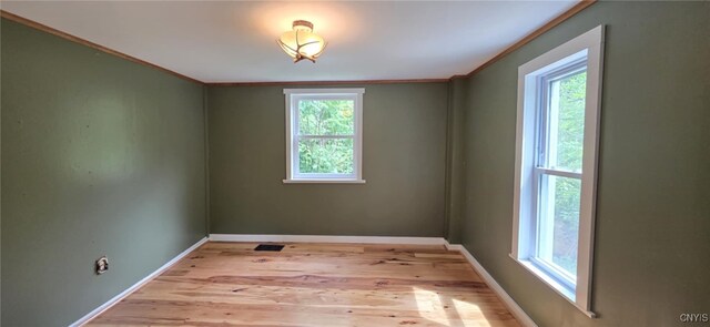 3975 Carr Hill Rd, Cortlandville, NY 13045 - photo 24