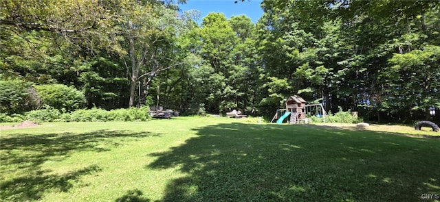 3975 Carr Hill Rd, Cortlandville, NY 13045 - photo 50