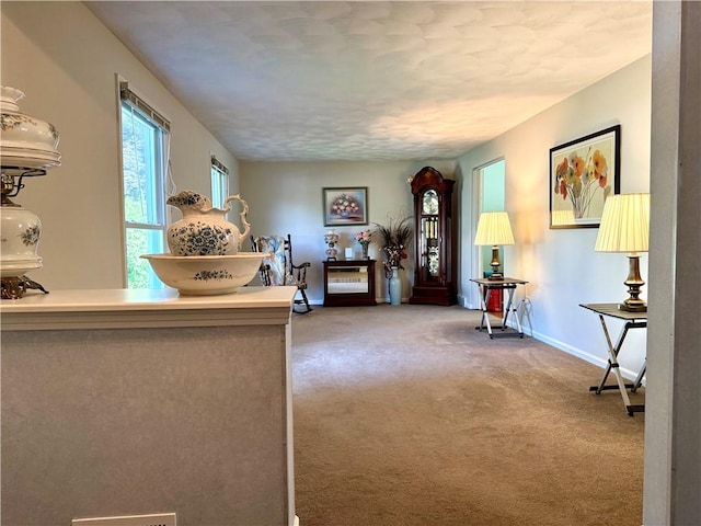 818 Tinker Tavern Rd, Webster, NY 14580 - living room with baseboards and carpet flooring