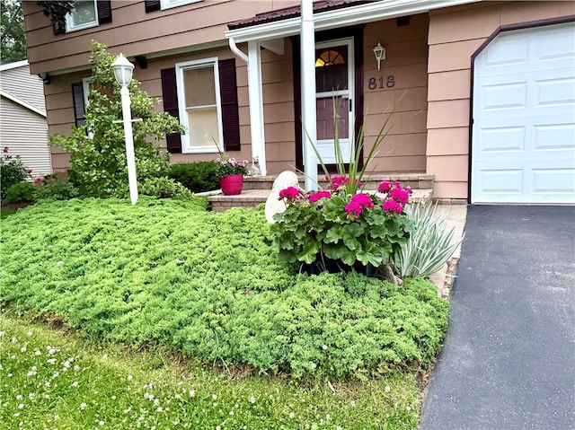 818 Tinker Tavern Rd, Webster, NY 14580 - view of exterior entry with an attached garage and asphalt driveway