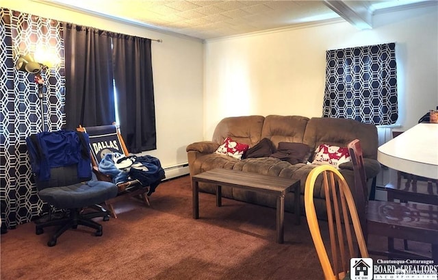 515 Newland Ave, Jamestown, NY 14701 - carpeted living area with baseboard heating and ornamental molding