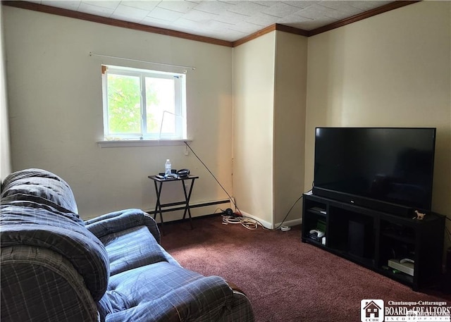 515 Newland Ave, Jamestown, NY 14701 - living room with carpet flooring, baseboard heating, and crown molding