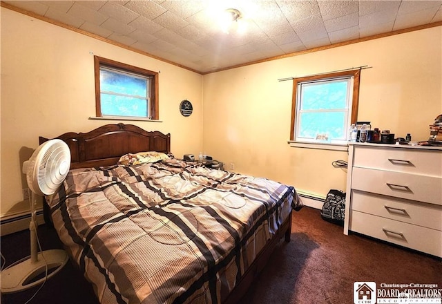 515 Newland Ave, Jamestown, NY 14701 - bedroom featuring dark carpet, crown molding, multiple windows, and a baseboard heating unit