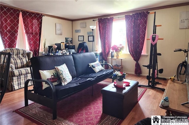 515 Newland Ave, Jamestown, NY 14701 - living area featuring wood finished floors and ornamental molding