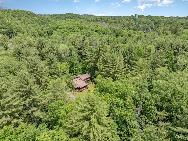 8520 Trenton Falls Prospect Rd, Trenton, NY 13438 - photo 34