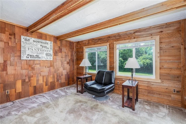 244 Wildflower Dr, Henrietta, NY 14623 - sitting room with wooden walls, carpet, and beam ceiling