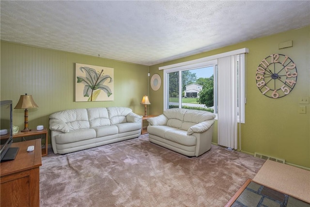 244 Wildflower Dr, Henrietta, NY 14623 - carpeted living area featuring a textured ceiling