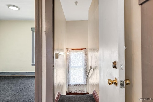 86 Shepard St, Buffalo, NY 14212 - photo 21