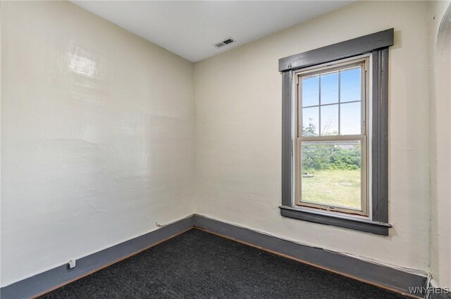 86 Shepard St, Buffalo, NY 14212 - photo 36