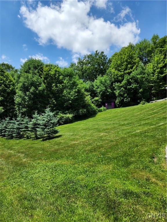 1683 Song Mountain Rd, Preble, NY 13141 - view of grassy yard