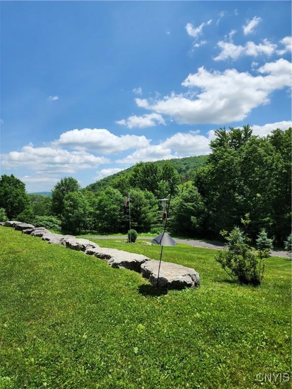 1683 Song Mountain Rd, Preble, NY 13141 - view of green lawn featuring a wooded view