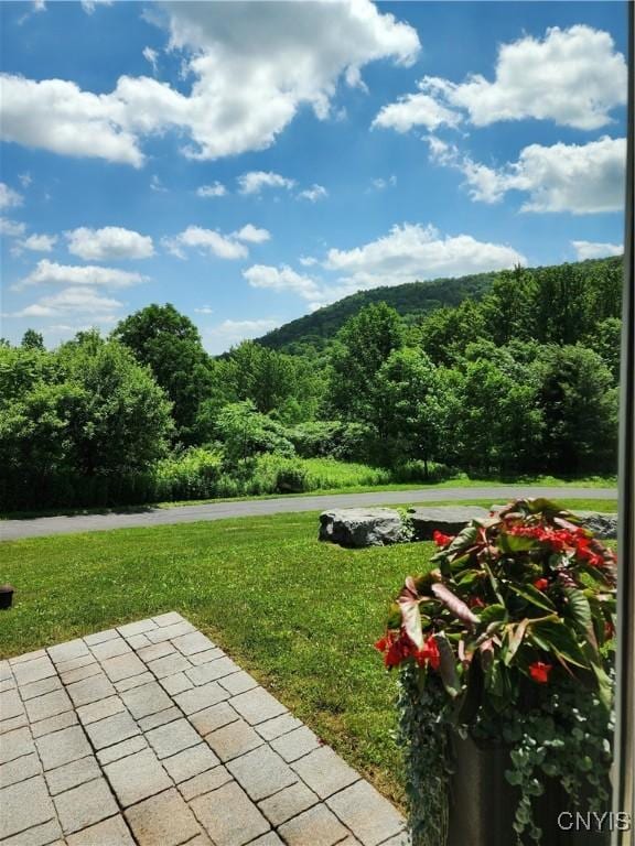 1683 Song Mountain Rd, Preble, NY 13141 - view of green lawn with a forest view