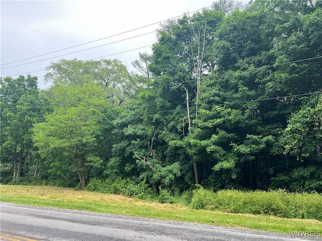 Park Rd W, Castile, NY 14427 - photo 1