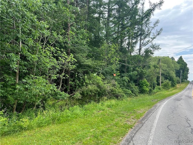 Park Rd W, Castile, NY 14427 - photo 2