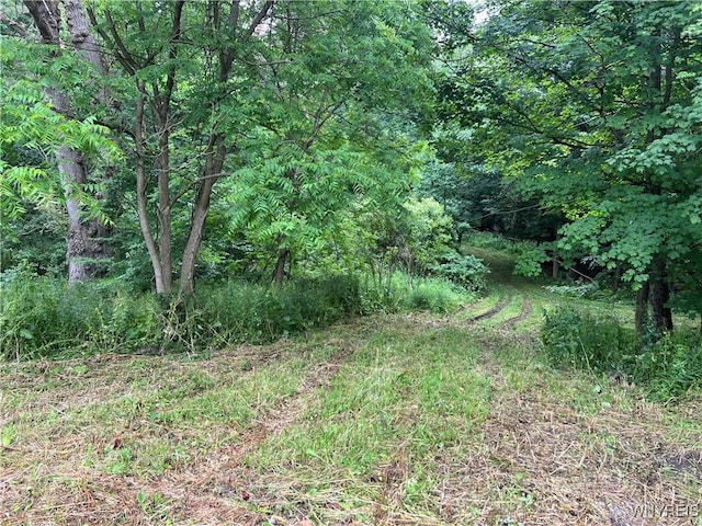 Park Rd W, Castile, NY 14427 - photo 3
