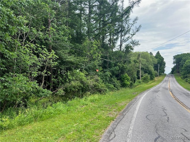 Park Rd W, Castile, NY 14427 - photo 4
