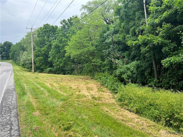 Park Rd W, Castile, NY 14427 - photo 6
