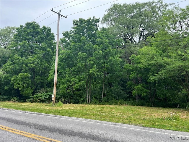 Park Rd W, Castile, NY 14427 - photo 8