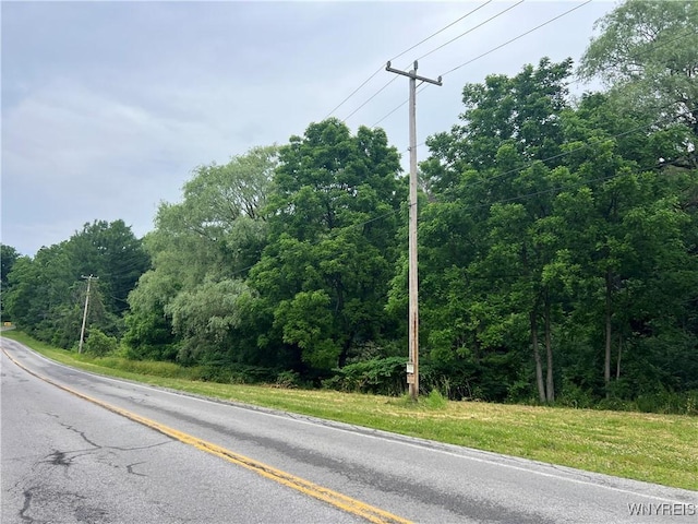 Park Rd W, Castile, NY 14427 - photo 9