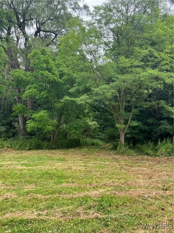 Park Rd W, Castile, NY 14427 - photo 10