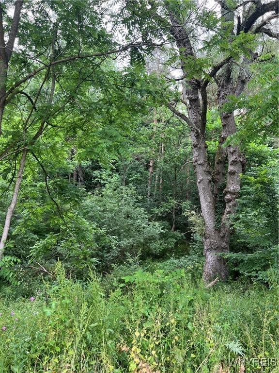 Park Rd W, Castile, NY 14427 - photo 11
