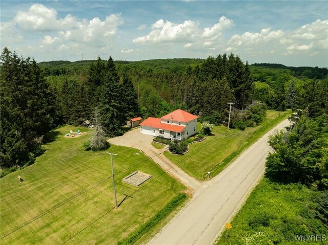 7961 Irish Hill Rd, Ellicottville, NY 14731 - photo 34