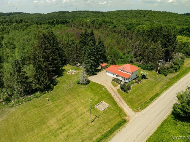 7961 Irish Hill Rd, Ellicottville, NY 14731 - photo 35