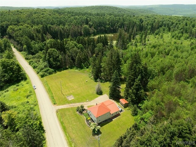 7961 Irish Hill Rd, Ellicottville, NY 14731 - photo 37