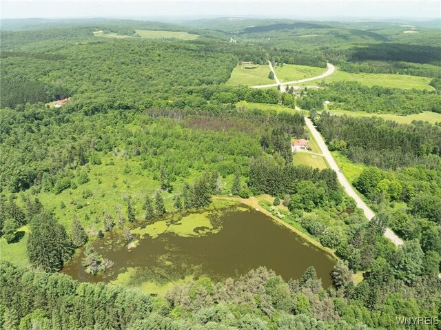 7961 Irish Hill Rd, Ellicottville, NY 14731 - photo 41