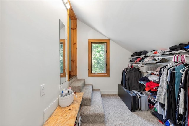 1848 Otisco Valley Rd, Otisco, NY 13110 - spacious closet featuring vaulted ceiling and carpet floors