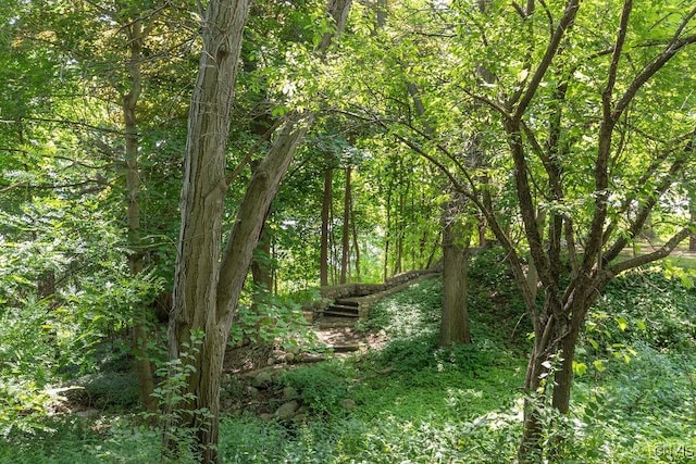 1848 Otisco Valley Rd, Otisco, NY 13110 - view of tree filled area