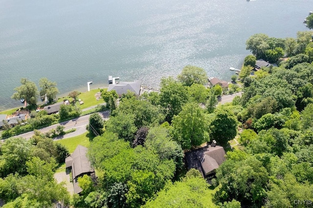 1848 Otisco Valley Rd, Otisco, NY 13110 - drone / aerial view of a large body of water