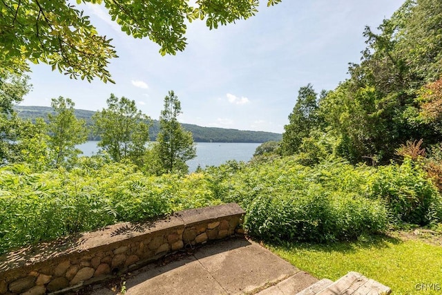 1848 Otisco Valley Rd, Otisco, NY 13110 - water view featuring a heavily wooded area