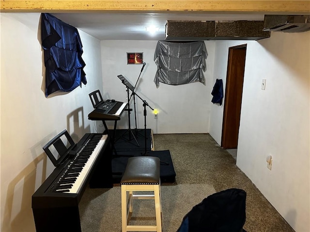 171 Vinal Ave, Irondequoit, NY 14609 - exercise area featuring carpet flooring