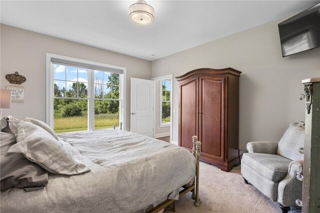 905 Pathway Ln, Webster, NY 14580 - bedroom featuring light carpet