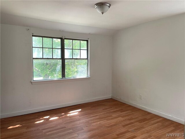 716 Taunton Pl, Buffalo, NY 14214 - photo 7