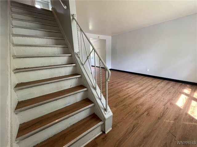 716 Taunton Pl, Buffalo, NY 14214 - photo 18