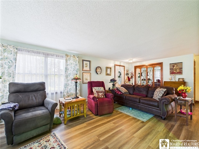 407 N Clark St, Olean, NY 14760 - living room featuring wood finished floors and a textured ceiling