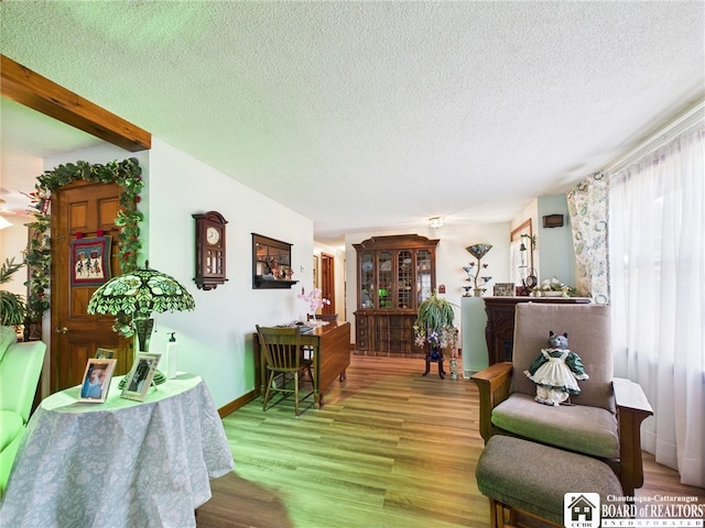 407 N Clark St, Olean, NY 14760 - living room featuring a textured ceiling and wood finished floors