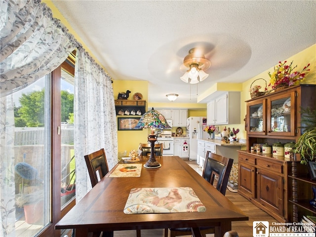 407 N Clark St, Olean, NY 14760 - dining room featuring ceiling fan, wood finished floors, and a textured ceiling