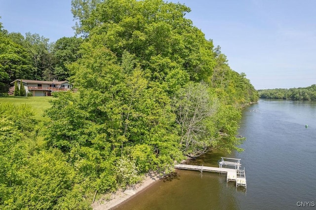 20 Hickory Grove Rd, Spur, Minetto, NY 13069 - dock featuring a water view and a forest view