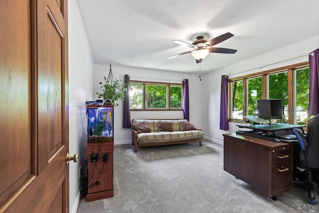 20 Hickory Grove Rd, Spur, Minetto, NY 13069 - home office featuring a ceiling fan, healthy amount of natural light, light carpet, and a baseboard radiator